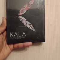Novel