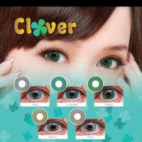 SOFTLENS NEW CLOVER / SOFT LENS CLOVER NEW