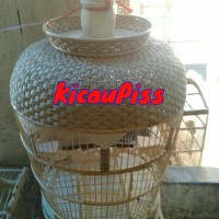 Kandang Perkutut bahan dari Rotan