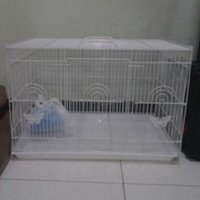 Kandang Kelinci Bahan Galvanis ukuran 60 x 40 x 40 (p x l x t)