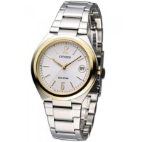 Jam Tangan wanita Citizen watch FE6024-55A Original