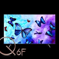 SAMSUNG Q LED 55Q6FN