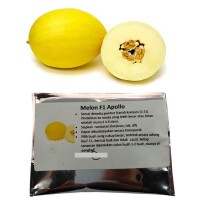 Benih Melon F1 Apollo- 5benih