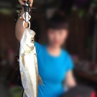 Alat pancing jepit mulut ikan fish lip grip murah