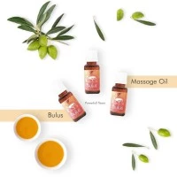 Massage Oil Bulus / Minyak Bulus