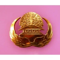Pin Korpri