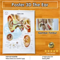 Poster 3D The Ear BS 342RR
