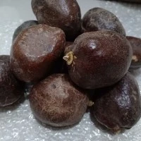 1kg Zuriyat Madinah /Doum/zuriat