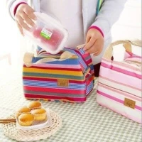 Lunch bag cooler motif salur