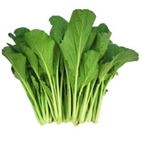 Jual caisim / sawi hijau fresh 1 kg ( sayuran) - Jakarta