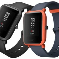 amazfit bip frozen