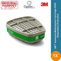 3M Cartridge 6004
