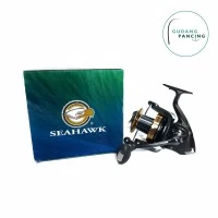 Reel Seahawk Beach Caster 6000