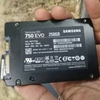 hardisk SSD 250gb murah Samsung 750 evo