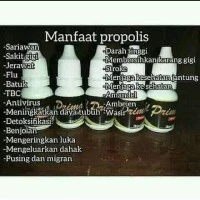 MSI Elprima Propolis Original