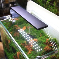 closest aquarium store