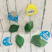 Daun Bludru 502