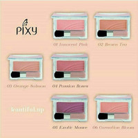 Info Pixy Blush On Katalog.or.id Info Pixy Blush On Katalog.or.id