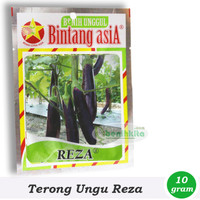 Benih/Bibit Terong Ungu Reza (Bintang Asia)