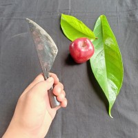 pisau raut kayu/belah bambu dari baja per