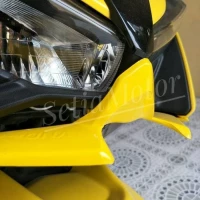 Winglet aerox