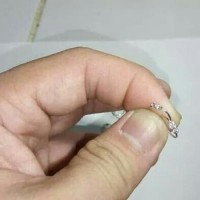 Anting Emas Putih Bayi Anak Model Swarovski 18 Karat White Gold