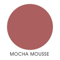 Lipstik Zoya Cosmetics Lip Paint Mocha Mousse 06