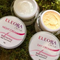Ngetren Kosmetik Wajah Eleora Perfect Glow