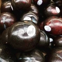 BUAH PLUM