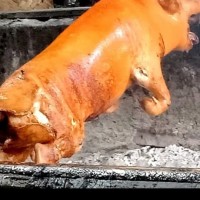 87 Gambar Babi Guling Bakar Paling Hist 87 Gambar Babi Guling Bakar Paling Hist