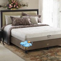Tempat Tidur Kasur Kingkoil King Koil Marques Kasur Saja 160 x 200
