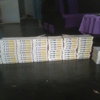 ONT HUAWEI