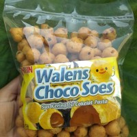 WALENS SOES COKLAT /BLUBERY 200 grm