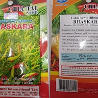 JUAL CABE RAWIT HIBRIDA F1 BHASKARA / BENIH CABAI RAWIT HIBRIDA F1