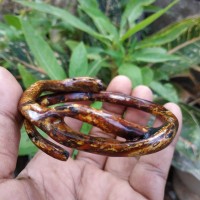 gelang AKAR BAHAR BRAHMA RG 137