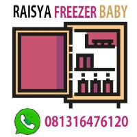 Sewa Kulkas Freezer Frizer ASIP ASI 6 Bulan Toshiba Free Ongkir BEKASI