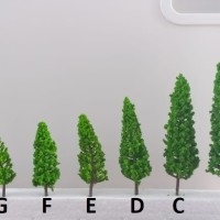 600+ Gambar Diorama Daur Air HD Paling Baru 600+ Gambar Diorama Daur Air HD Paling Baru