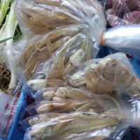 ikan asin bulu ayam