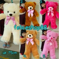 boneka teddy bear/beruang jumbo/besar
