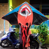 8800 Koleksi Gambar Ikan Hiu Hias Gratis