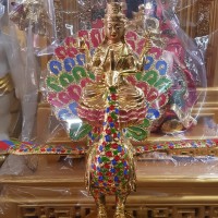 maha mayuri peacock king