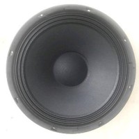 speaker 10 inch audax
