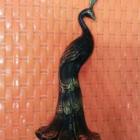 650 Koleksi Gambar Burung Merak Bali HD