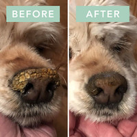 natural dog snout soother