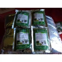 Teh Daun Jati Cina isi 4 pcs