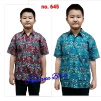 645 kemeja batik anak laki 2 - 12 thn,hem anak seragam