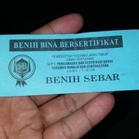 BIBIT BAWANG MERAH VARIETAS THAILAND NGANJUK