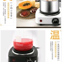 Portable Kompor Listrik Mini Hot Plate Electric Cooking 500W