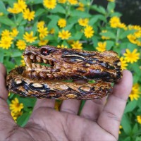 gelang AKAR BAHAR BRAHMA UKIR NAGA AZ 201