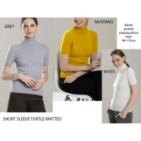 short sleeve turtle blouse